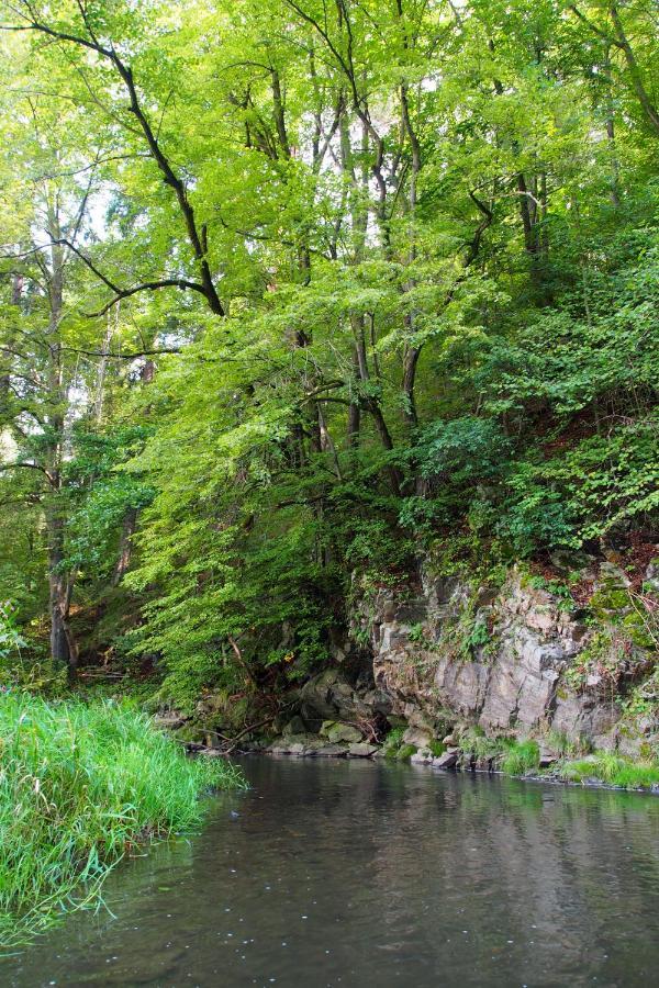 Kájov Camping Fox Cesky Krumlov מראה חיצוני תמונה